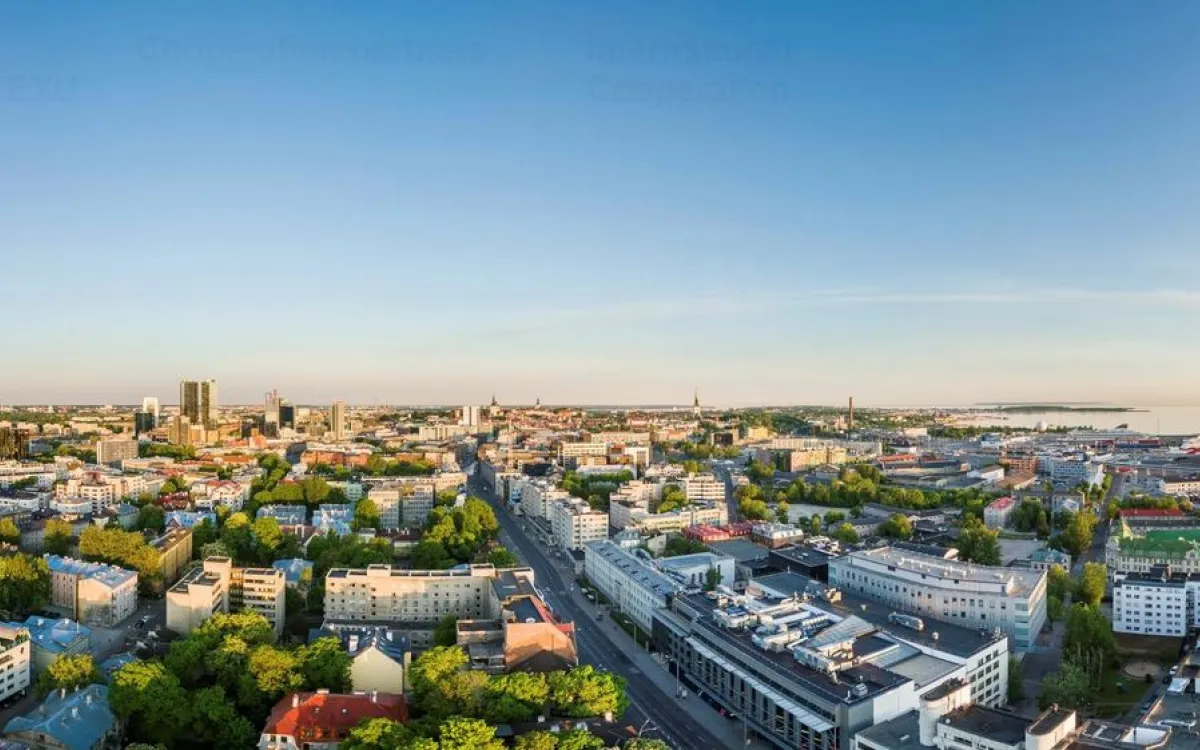 Tallinn University
