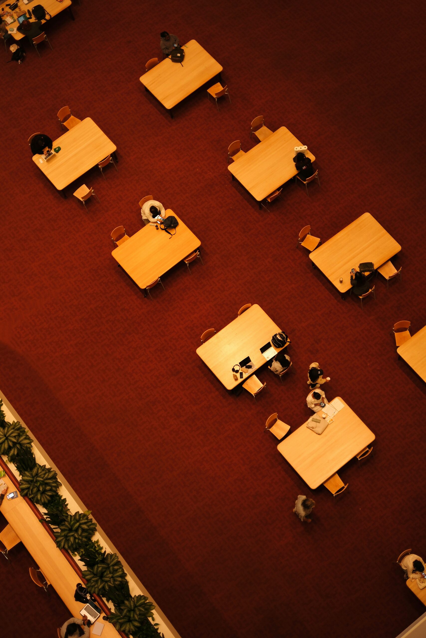 School Parent Networks Do Not Boost Children’s Grades